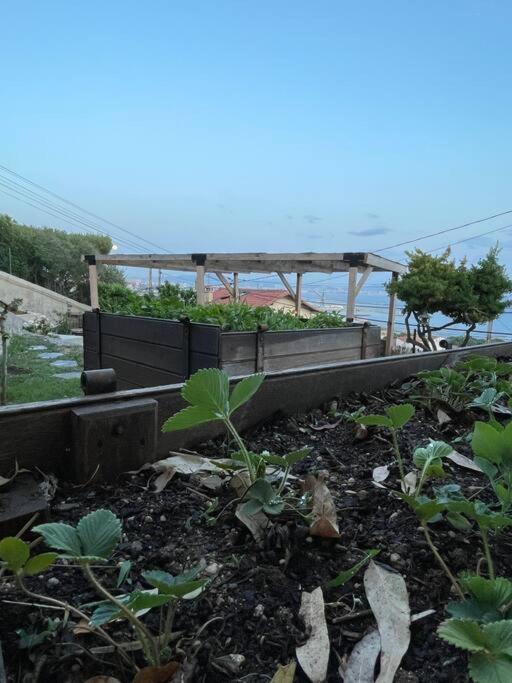 Superbe Terrasse Avec Vue Panoramique Sur La Mer 마르세유 외부 사진